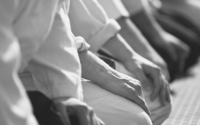 Seminario di Aikido e Aiki-jujitsu