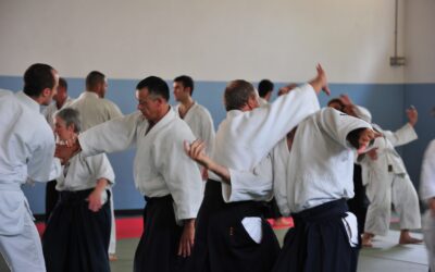 Aiki Marathon 2024